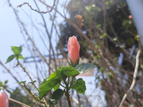 双色球杀码计划杀号：揭秘彩票中奖的智慧之道